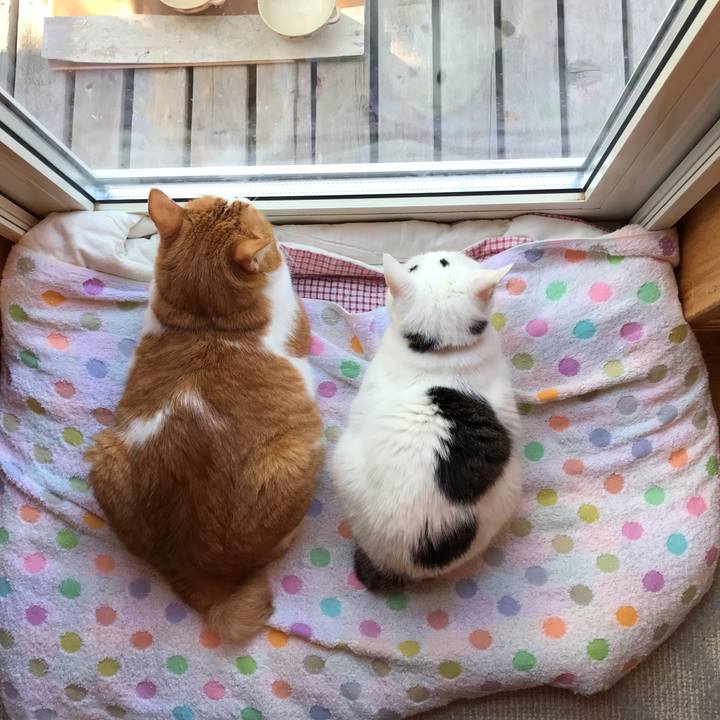 C1a6b2ae a951 40cd 951e 22e93e0cb965 1598908481930