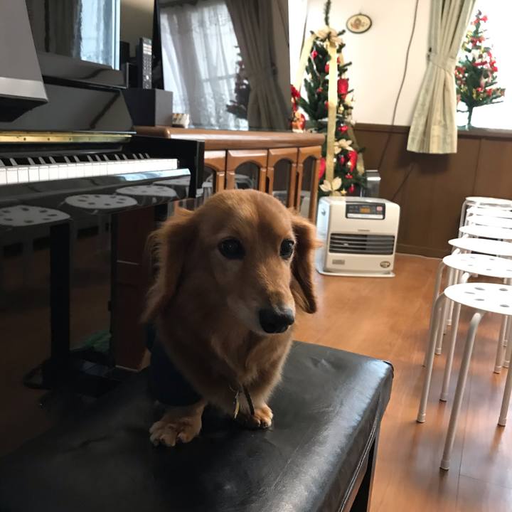 C1a6c0da 321e 461b 8485 de4240781033 1577013130173