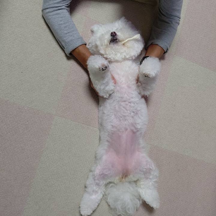 C1a6c8cf d6c8 4b97 9b59 389920bbe25e 1630841422142