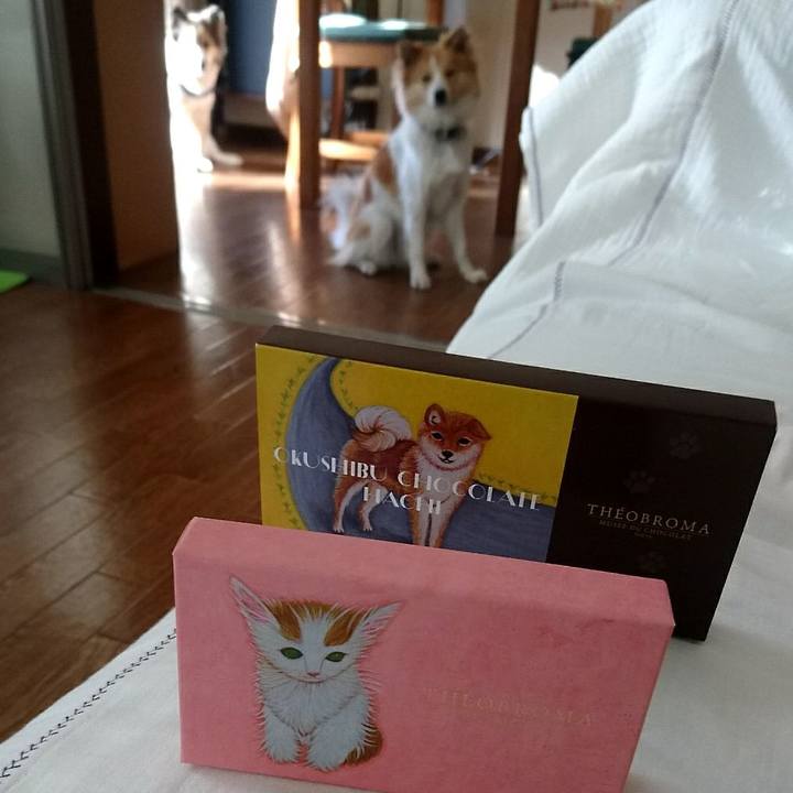 C1a6d2bf caf7 4463 aa7e f788df31c251 1518620194859