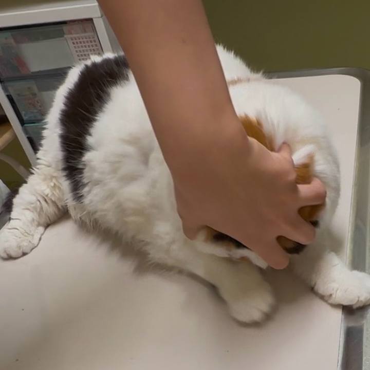 C1a6e7de f052 4fd2 8c2f 6c15b5011c7e 1736721131020