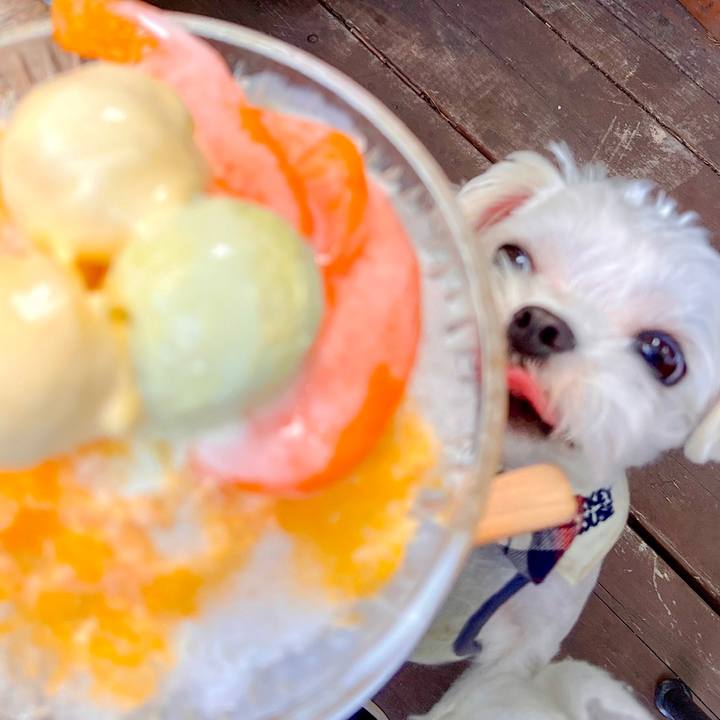 C1a6fb04 5feb 4db3 a903 24776acd3352 1689495769452