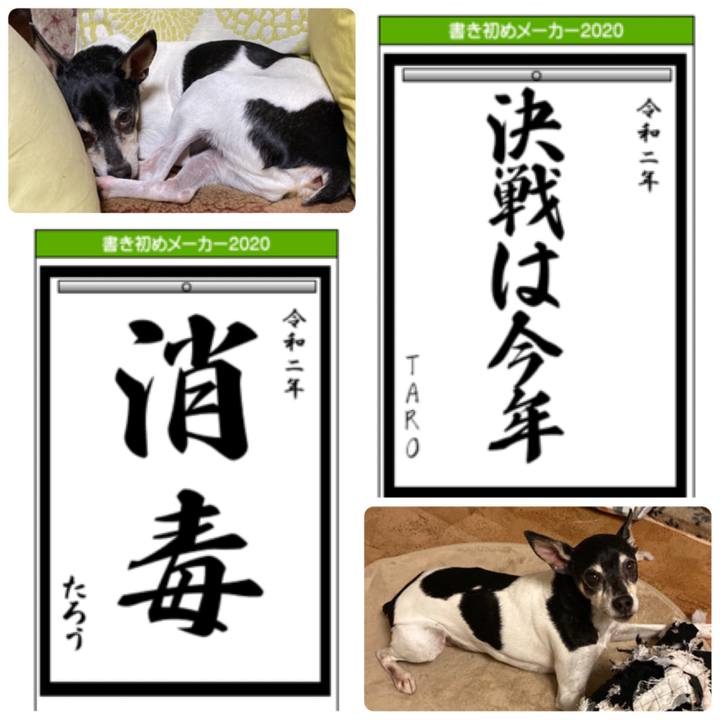 C1a721d0 5a52 4a00 bb83 bf605db2d816 1577964673397