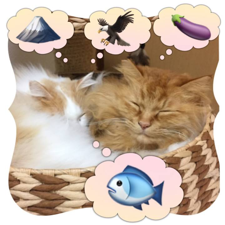 C1a7349b 729e 4164 b8dc 3847cdf7c012 1514847543471