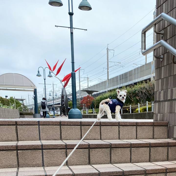 C1a752da 2ea7 4f18 a4a3 9c2c831502b9 1576041333809