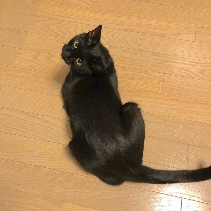 C1a77651 5a37 44b7 95d0 0c7b57f5d07a 1512385254133