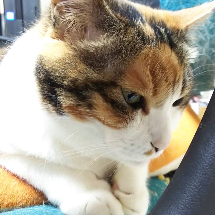 C1a785ba 6fd1 4b04 803d 1fda28edfbfd 1559771325402