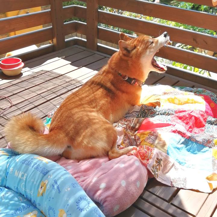 C1a7a2d9 a0ba 44d9 a628 1d77da076d8d 1656394023552