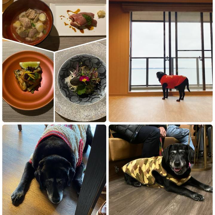 C1a7b0f7 f708 4f75 b786 18f387932b21 1708733490468