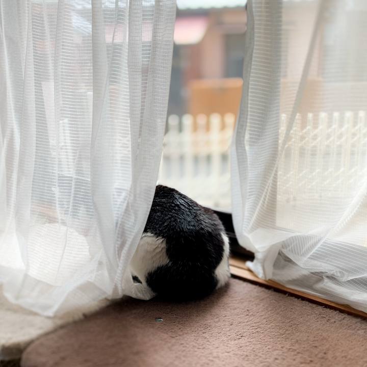 C1a7b5c1 9a87 4bc5 ab5c 8fb6873ecb51 1591580864992