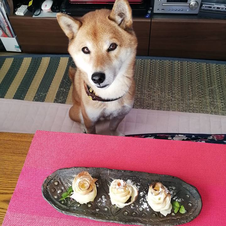 C1a7e66b 638b 4d3b 938a 6f00d8f71673 1609653520873