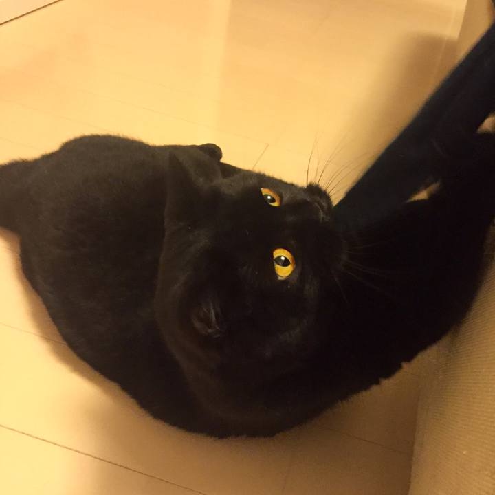 C1a815b1 70a3 4288 a693 a904424db156 1562247043507