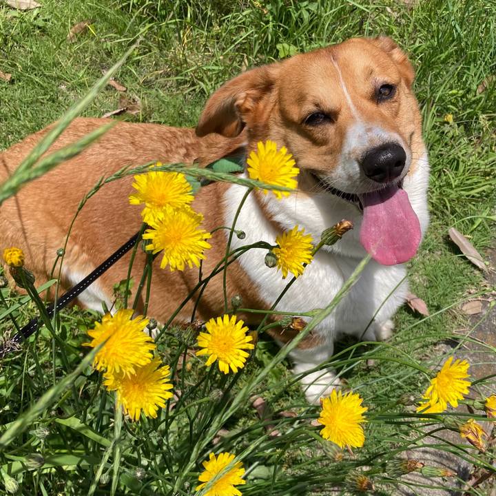 C1a81aae 9f94 4612 a6e6 a91e60381d57 1715653306898