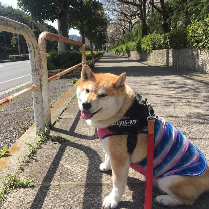 C1a82456 6f42 45be 87e0 1d85c227f596 1584762726711