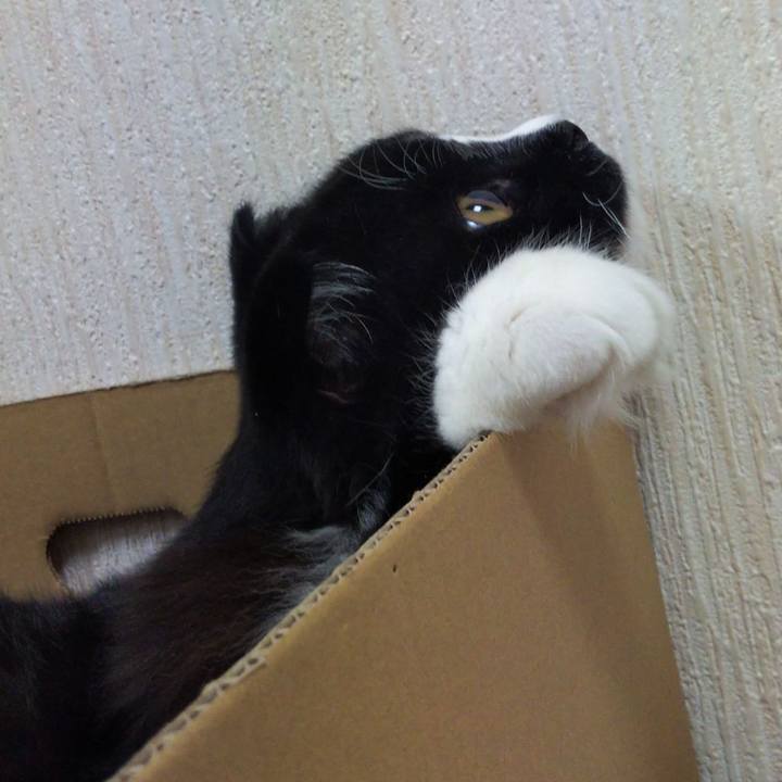 C1a83ab9 9146 4fb2 b863 135a627099a4 1650713554184