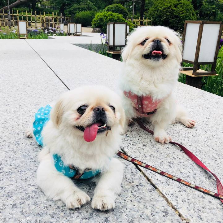 C1a8719d 5cac 46a4 986c bfaa50f10df2 1559876206664