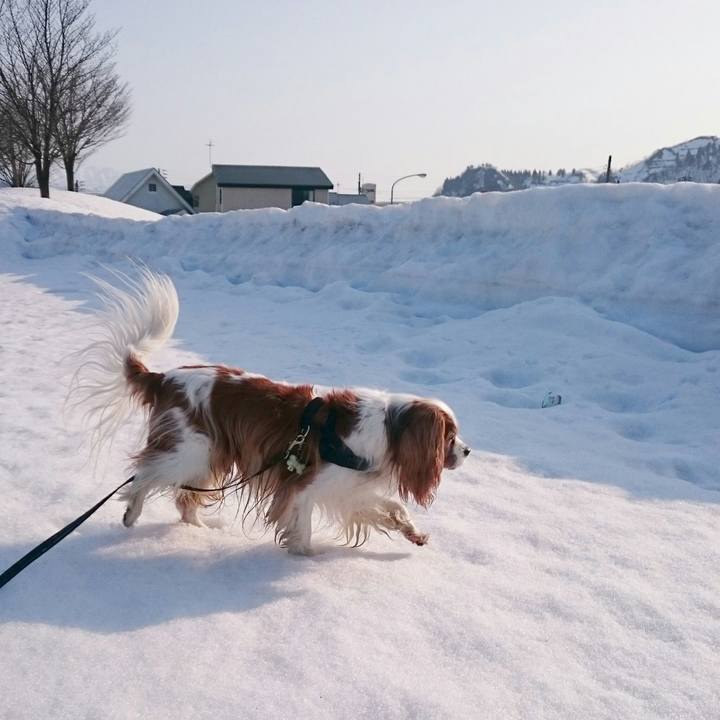 C1a872d6 9423 4fd4 a003 c16f8604d932 1520926389458