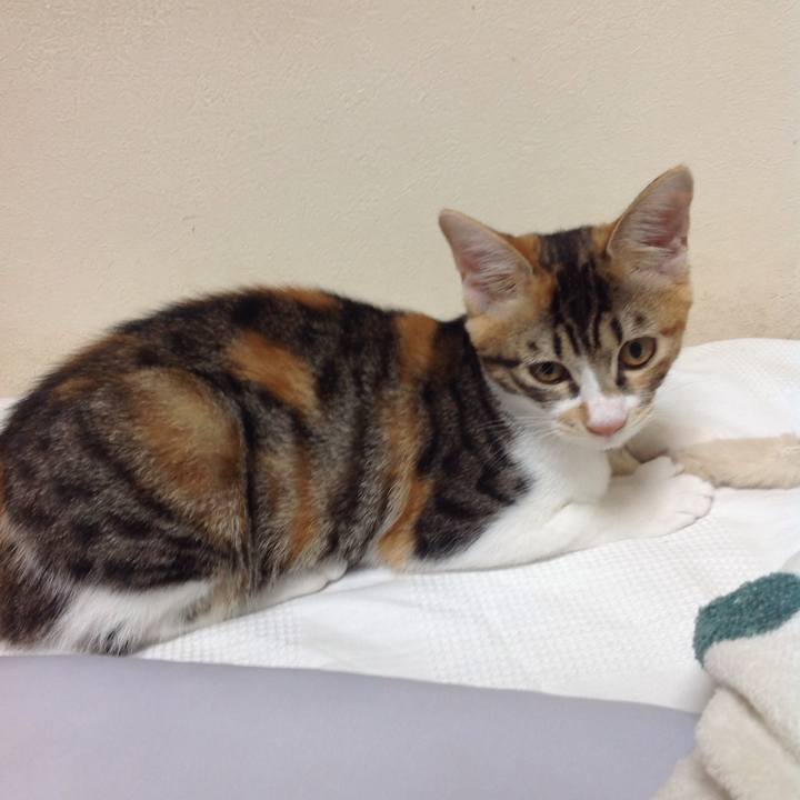 C1a8a1dd af90 4483 beed cd7477e97343 1630623019859