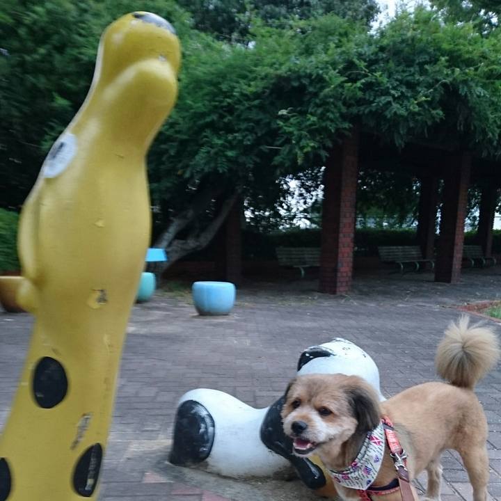 C1a8b015 0618 48be 86f2 5460db81f24f 1536059858503