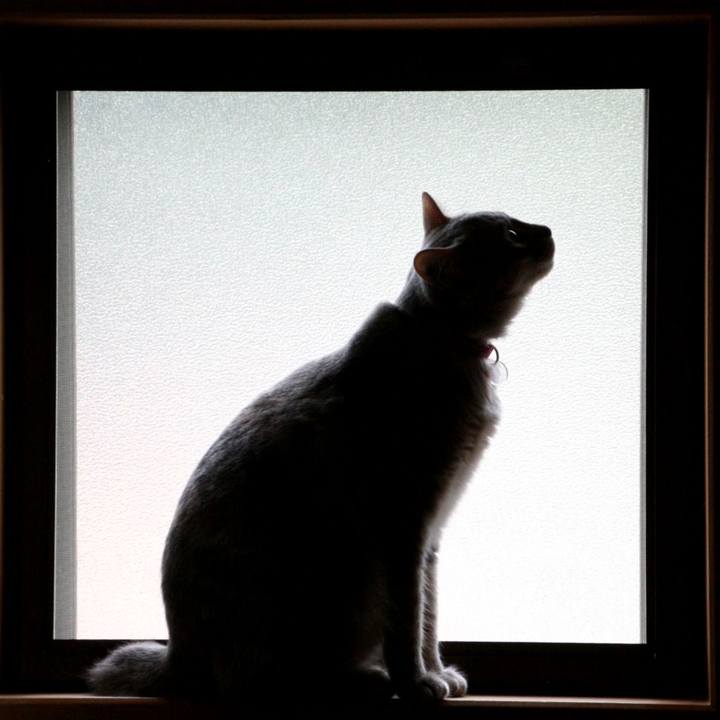 C1a8cc0e 3e1f 48c5 9965 1808dfef25b3 1528247947729