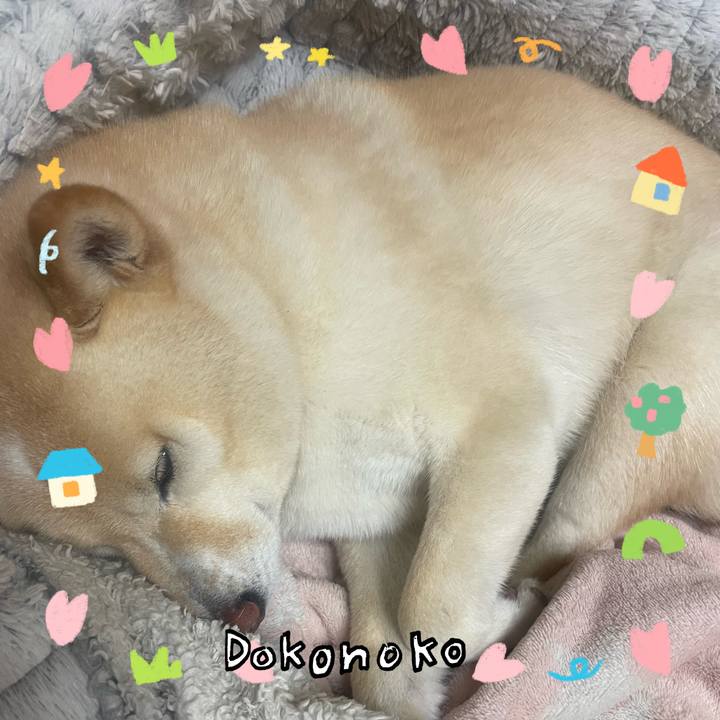 C1a8d2f7 722e 4e14 8e53 005156cb0ae9 1741176587369