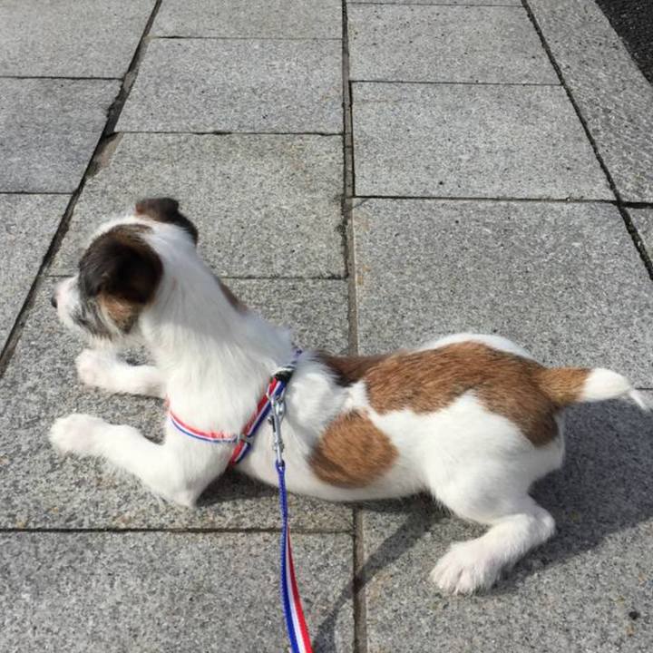 C1a8fa29 241a 45d2 8a2b d2944974ee0b 1695381053190