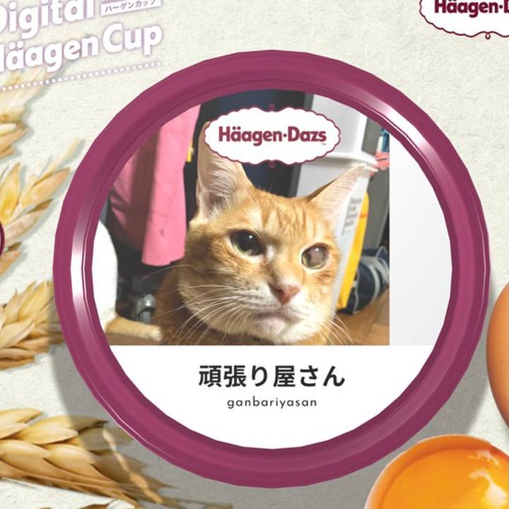 C1a95446 f7de 44aa bfd5 fac403890340 1607530289600