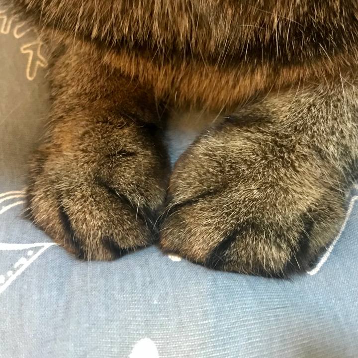 C1a97a27 04c4 4c03 a11c 10d931f3862d 1580005976364