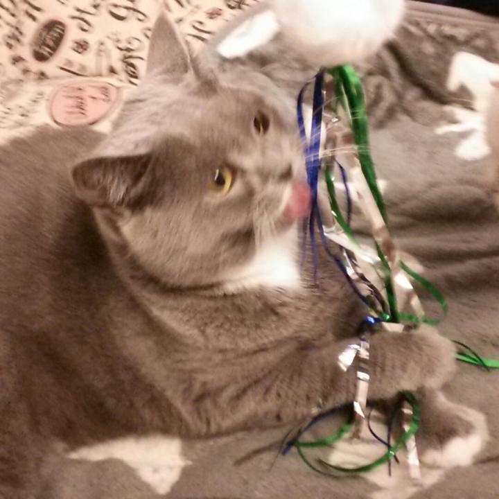 C1a99216 2ace 4421 9b8a 862e3a7011c7 1563663077799