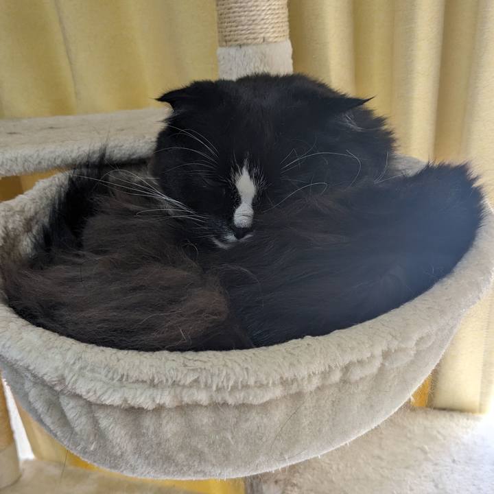 C1a9b2e6 c0a9 4731 a4b6 b126411e20d3 1707707891528