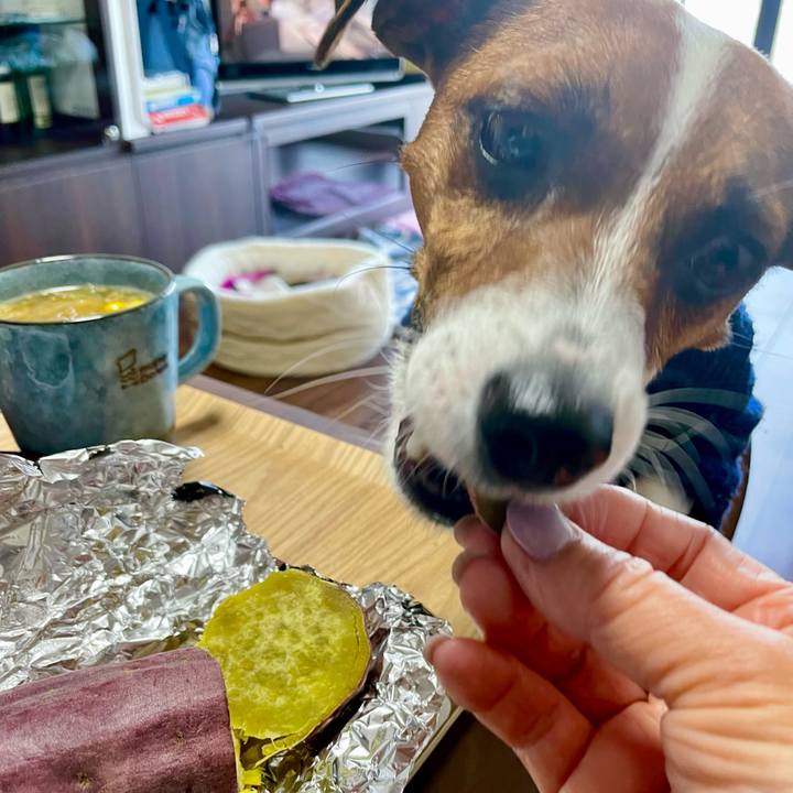 C1a9bb34 1832 4abb a60e 34d71cd7727f 1646799235949