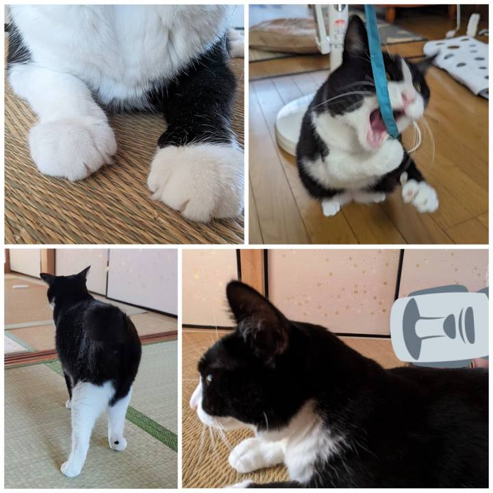 C1aa4547 5714 406e 98b4 1fc838af1aab 1693367242447