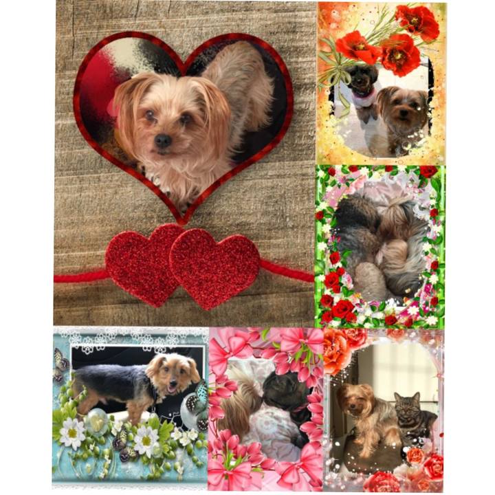 C1aa4dbe 6135 4aa5 be4b cdec479bf256 1557668984197