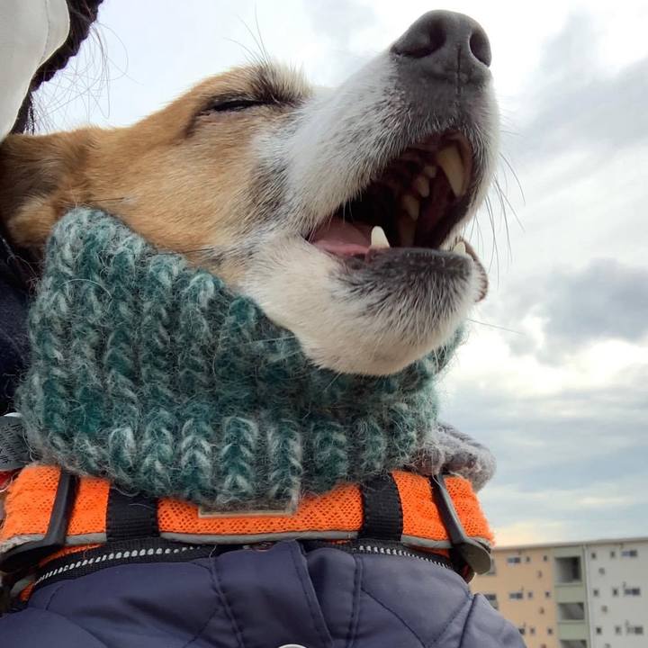 C1aa8319 c1e3 4de0 9577 cf38537e4234 1705057879645