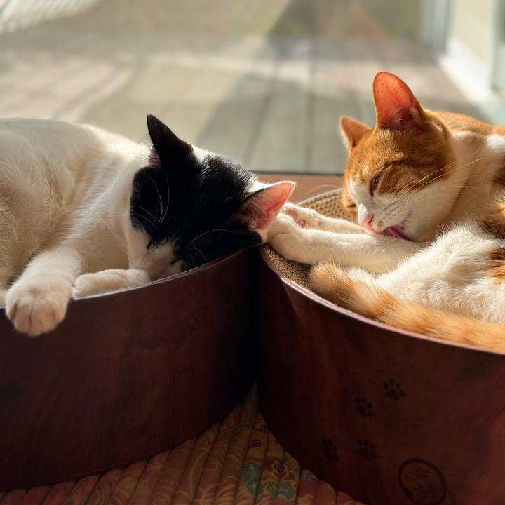 C1aa8492 a37f 4623 8c55 fef670d3b87d 1771983825824