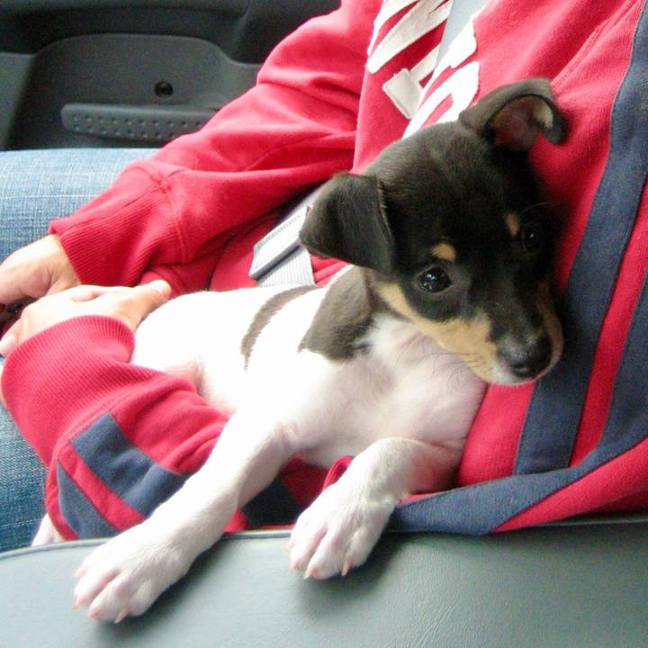 C1aa9e5b 369d 4130 8fb5 92b894cdf9df 1619046471297