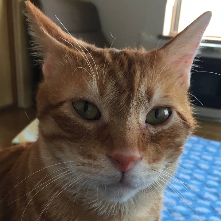 C1aaf9d5 c64a 4cfe ac01 81efb19f83b4 1533714120952