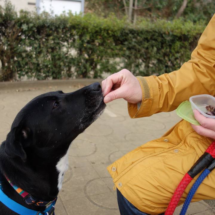 C1ab0127 fa19 4d27 aff9 ed7814969744 1614648198116