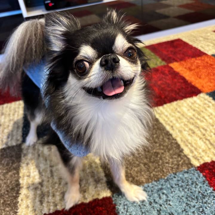 C1ab4414 4cfb 4248 a379 23b62bc4caf4 1750609187223