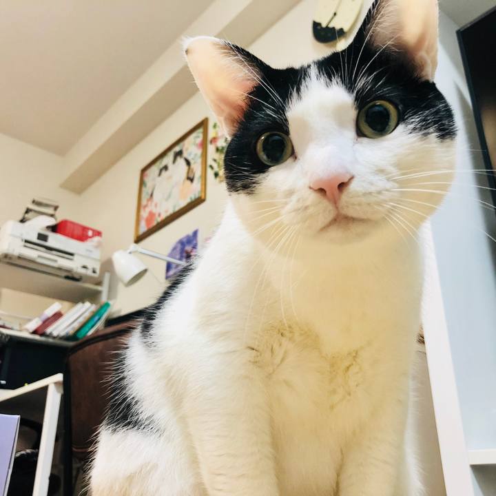 C1ab4e5c c8b8 4543 a96c 2e347c8daa5f 1517397075058