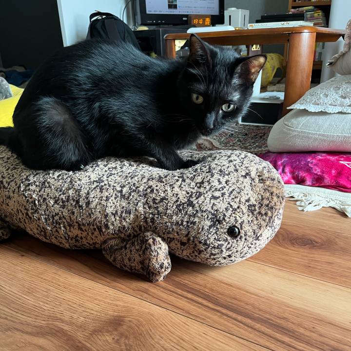 C1ab72fc 26b0 4615 b625 2a153b44057a 1762355225350