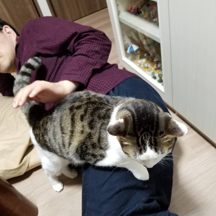 C1ab9ade a5ed 40af bfe5 8e511ac1c2f0 1619699315066