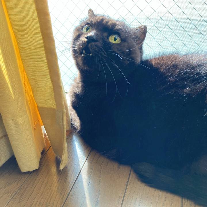 C1ac00d5 f1a0 460b a5e5 2fecfee94305 1636949717452