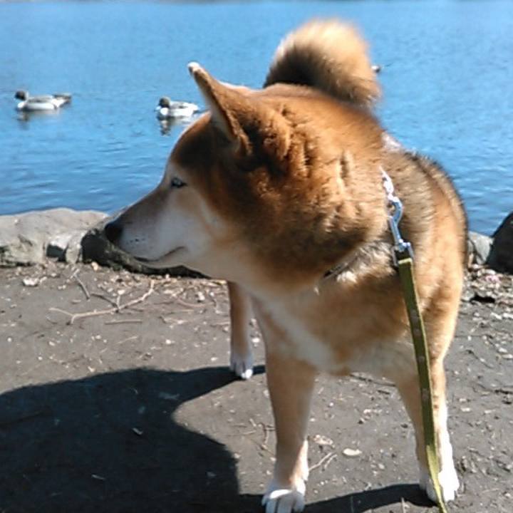 C1ac0a80 c106 4fd8 a03f 4444e3908848 1582868664498