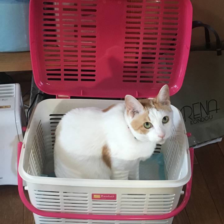 C1ac1d30 3d67 4a45 96f9 c797c55d08e7 1531298352749