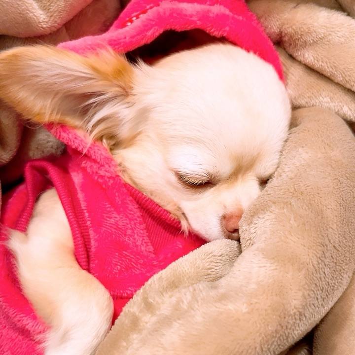 C1ac74cf 1c43 4f17 9ee2 3d4258dbd92c 1702728096837