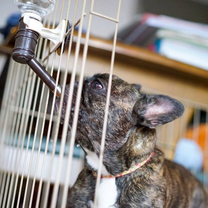 C1acb3c1 06e7 4d16 901c 0fab138b972e 1561255325825