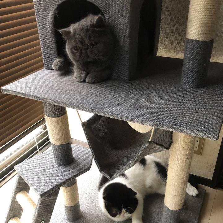 C1acb817 465d 4d70 a1c3 2c2301cac05f 1569986691046