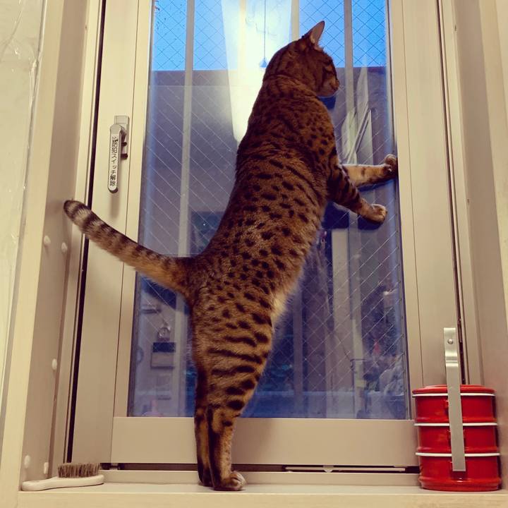 C1ad0adb f3e5 4fa4 8ffb 318c9fbe18ad 1571361783790