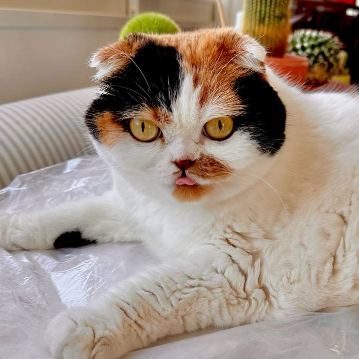 C1ad1413 fd5d 4eef 9165 ac222f195772 1687655411870